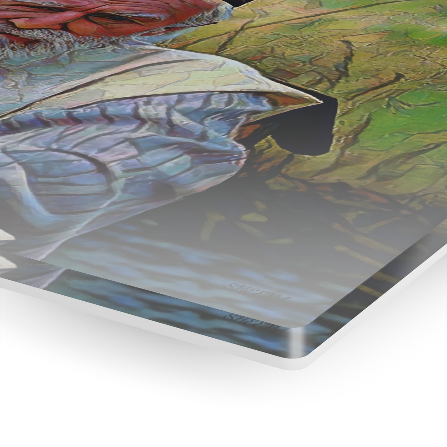 Acrylic Prints